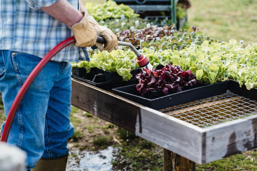 Harness the Bounty of Container Gardening in Small Spaces