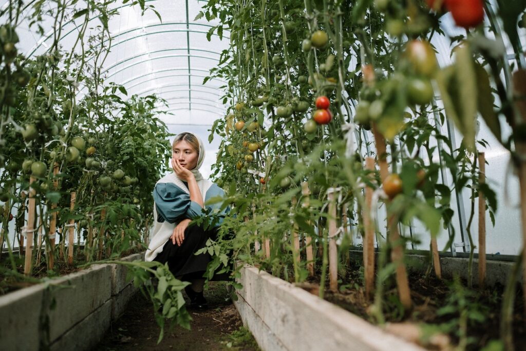 Deciding Between Flowers, Fruits, and Vegetables for Beginners