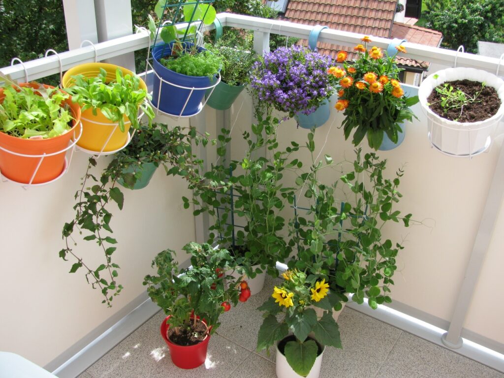 container balcony gardening