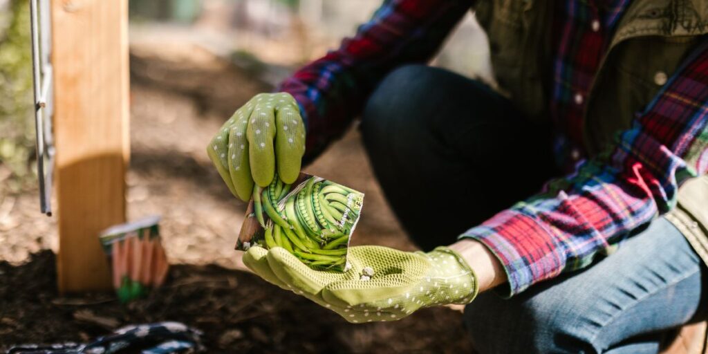 planting vegetable seeds in the garden