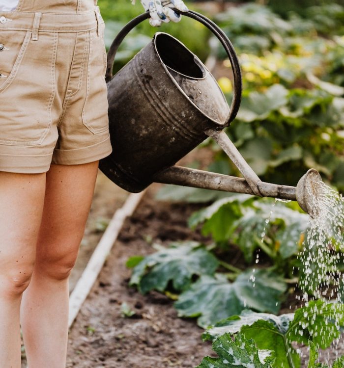 Irrigation Innovations: Efficient Watering Techniques for Your Garden